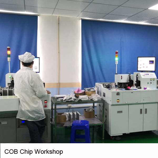 COB led chip factory